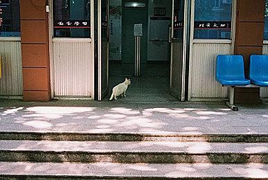 《心灵杀手2》主创秀出剧本照片 堆积如山堪称怪兽级