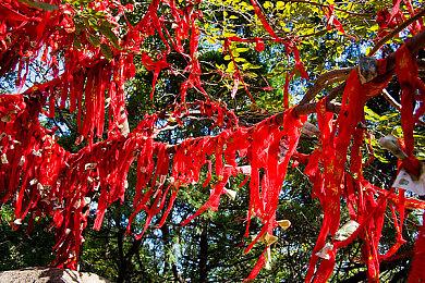 《刺客信条：影》首个实机演示 男女主角大开杀戒